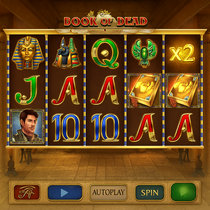 Waddibet - Book of Dead Slot - Play'n GO